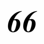 66mm